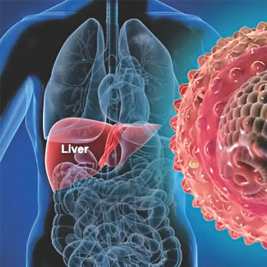 hepatitis delta virus igg